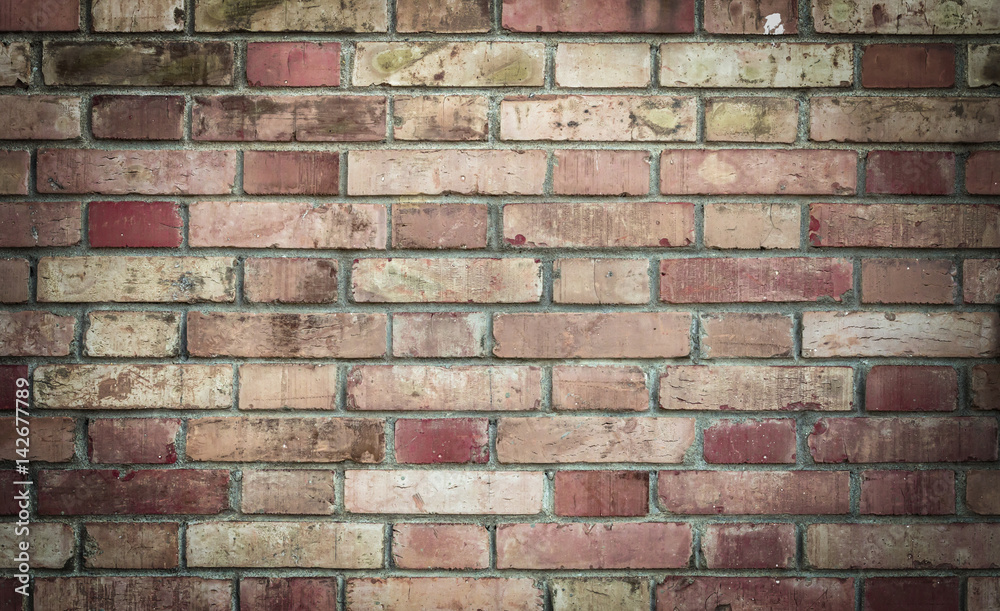 Fototapeta premium Vintage brick wall