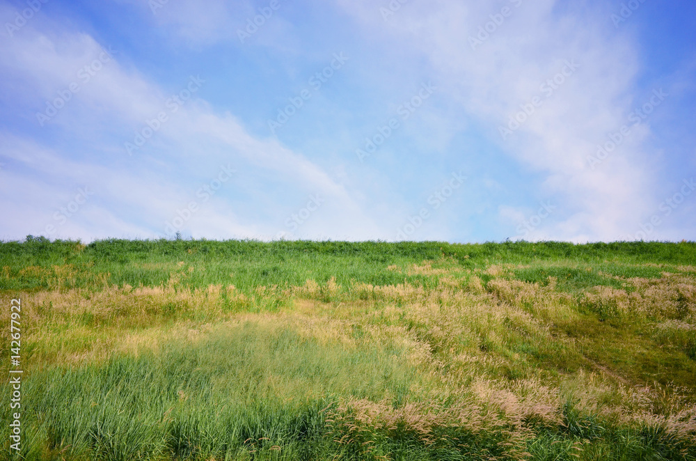 slope  meadow and blue sky with clound