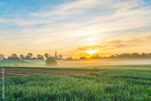 Foggy morning in the field near the village