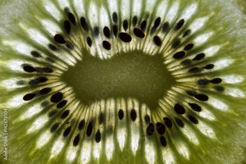 backlit kiwi center