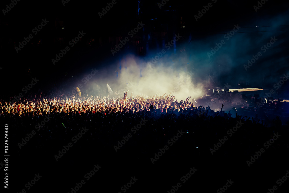 crowd at concert - summer music festival crowd at concert - summer music festival