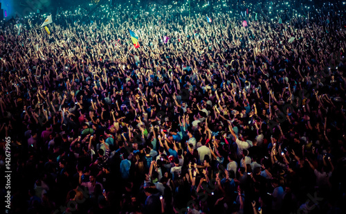 crowd at concert - summer music festival