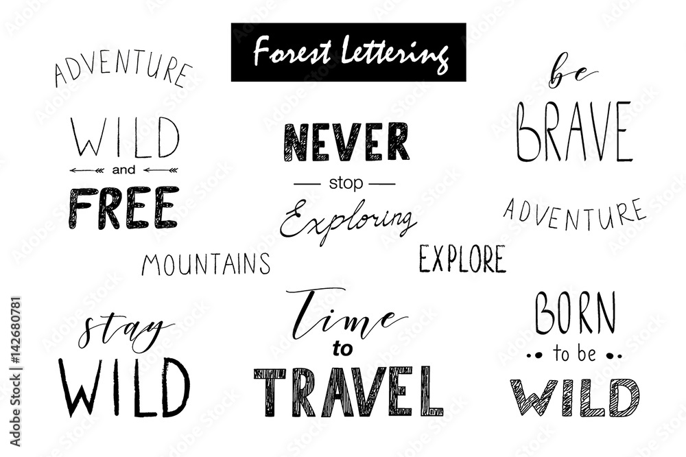 Hand drawn vector wild design elements. Forest silhouettes.
