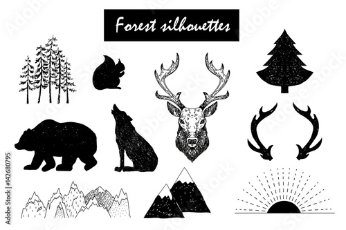 Hand drawn vector wild design elements. Forest silhouettes.