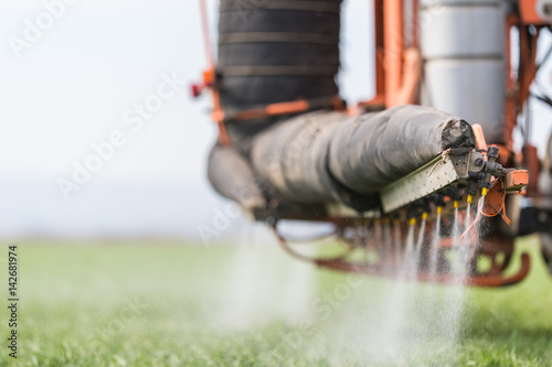 Tractor spraying pesticide on wheat field with sprayer photo