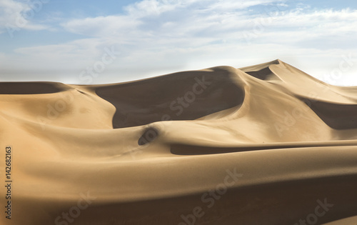 dunes in a desert in Abu Dhabi