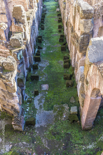 Coliseum of Rome, Italy © jordi2r