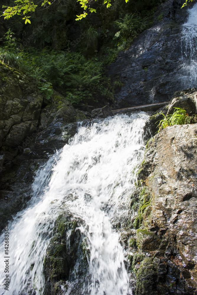 Waterfall on mountain river in Carpathian Mountains , Romania