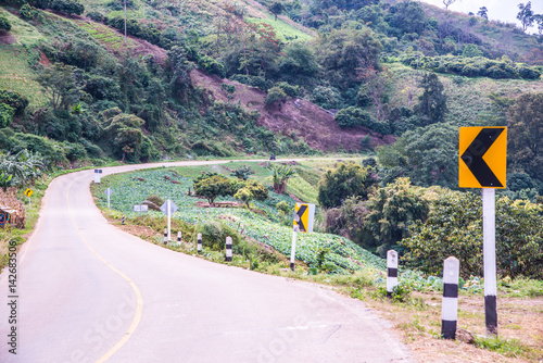 Road to Phu Chi Pa photo