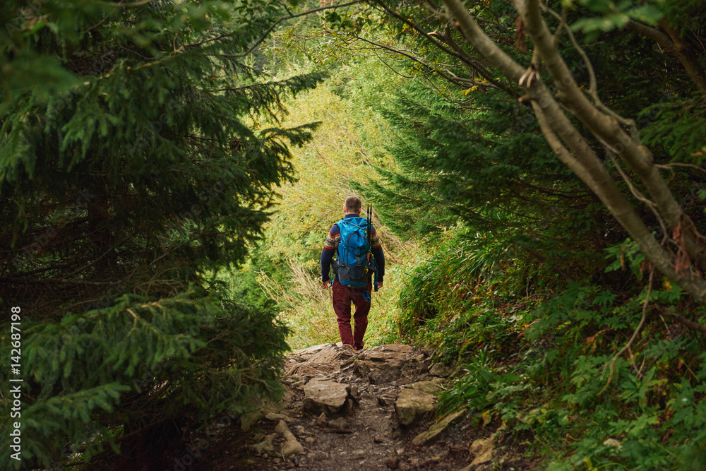 Obraz premium Lone hiker walking through a path deep in the forest
