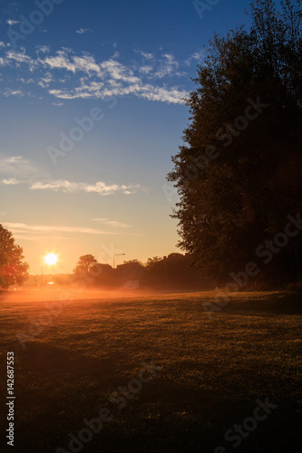 Early morning sunrise over park in urban environment
