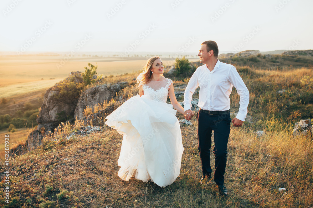 Bride and groom are walking at the mountains