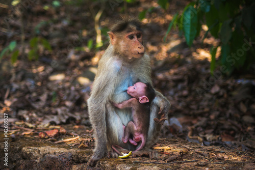Fototapeta Naklejka Na Ścianę i Meble -  Mother & Baby