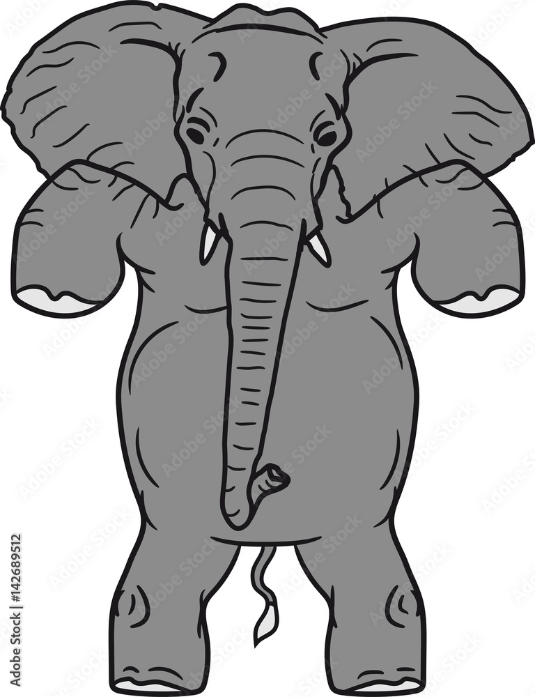 Obraz premium stehend laufend kunststück elefant kopf gesicht gemalt