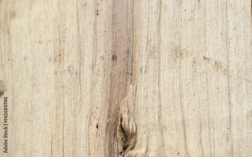 Fototapeta premium Split wood texture