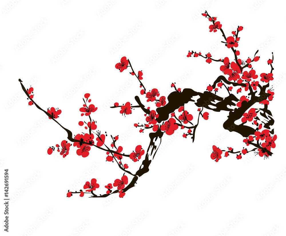 Obraz premium Realistic sakura blossom - Japanese cherry tree isolated on white background. 