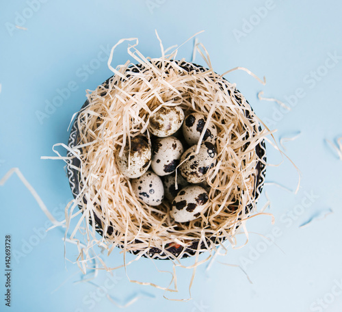 easter quail eggs in the nest on the light blue background, flat lay