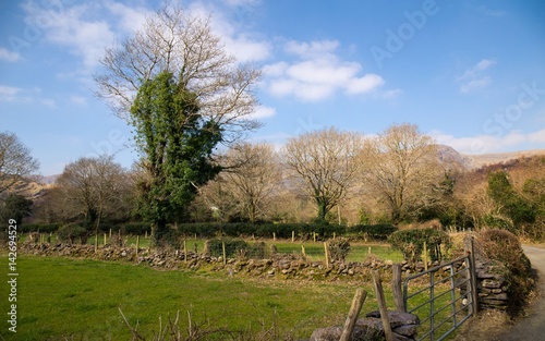 Irish country landscape with stone walls and green grass