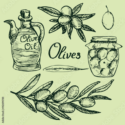Olive branches, jar of homemade pickled olives, bottle with virgin olive oil, leaf and fruits set, woodcut style design, hand drawn doodle, sketch in pop art style, isolated vector illustration