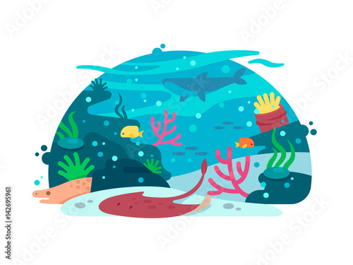 Marine underwater world