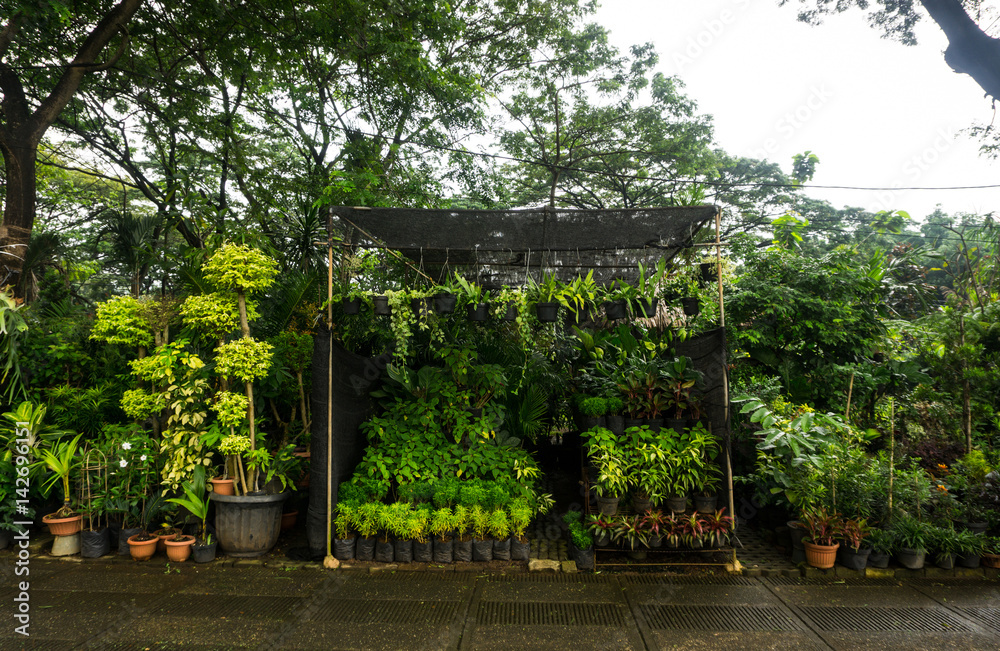 vertical garden arranged by hanging plant and flower sell by florist photo taken in Jakarta Indonesia