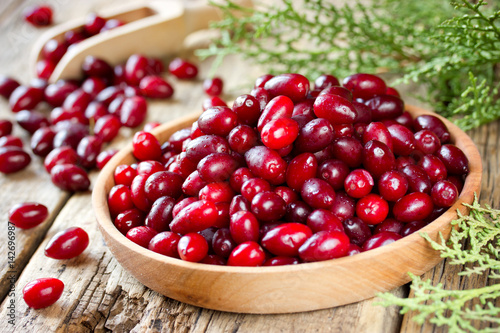 Fresh cornel berries photo