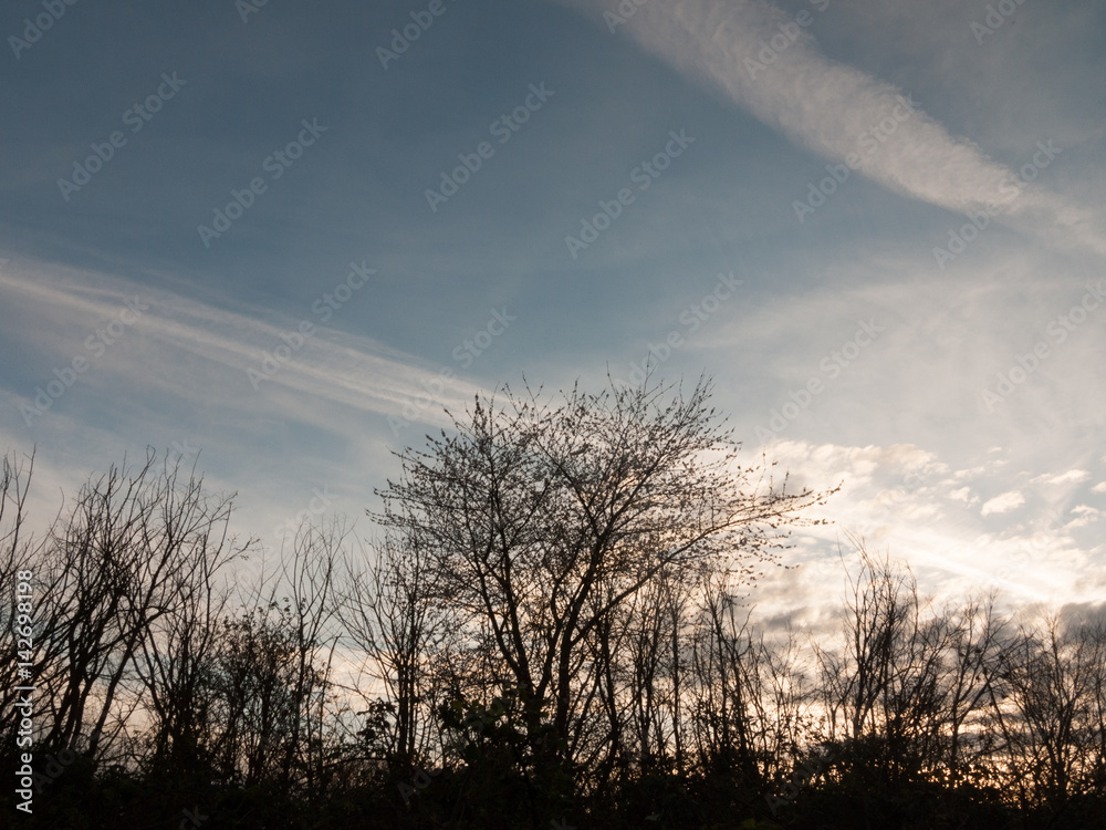 Fototapeta premium Sunset Silhouette over Fields with Houses in Distance
