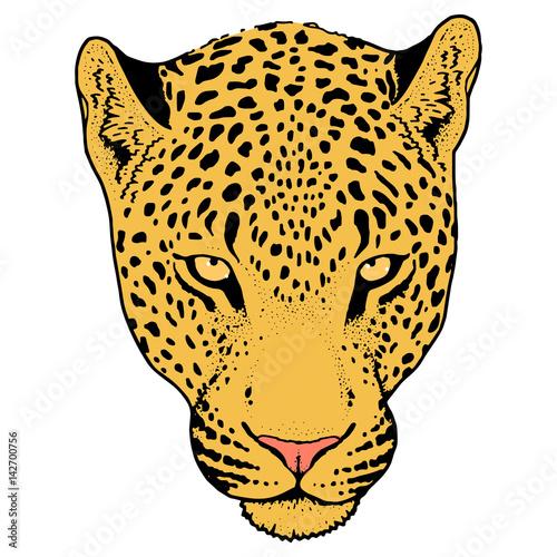 Leopard face tattoo ,Vector illustration, print