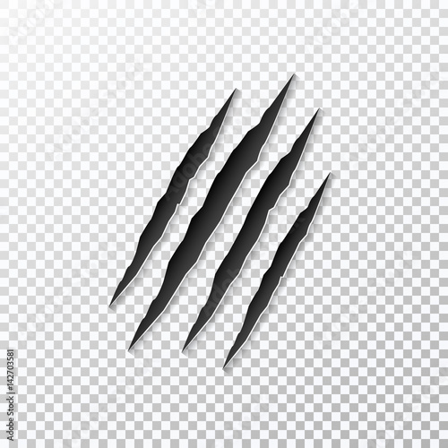 Claws scratching animal isolated on background. Vector illustration.