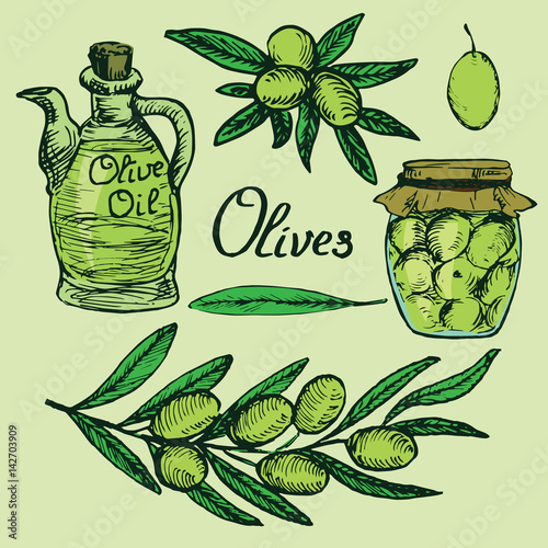 Color olive branches,  jar of homemade pickled olives, bottle with virgin olive oil, leaf and fruits set, woodcut style design, hand drawn doodle, sketch in pop art style, isolated vector illustration