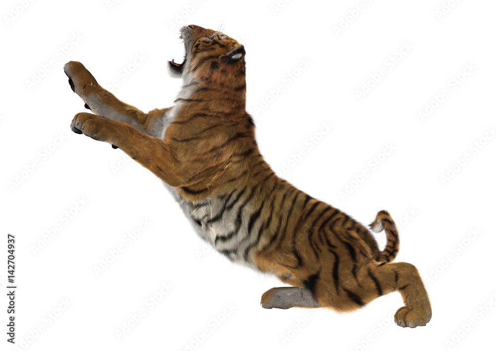 Fototapeta premium 3D Rendering Big Cat Tiger on White