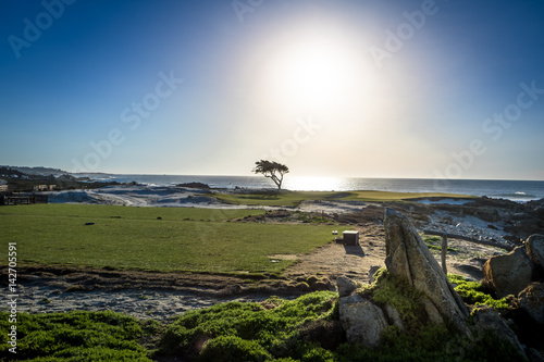 View along famous 17 Mile Drive - Monterey, California, USA photo