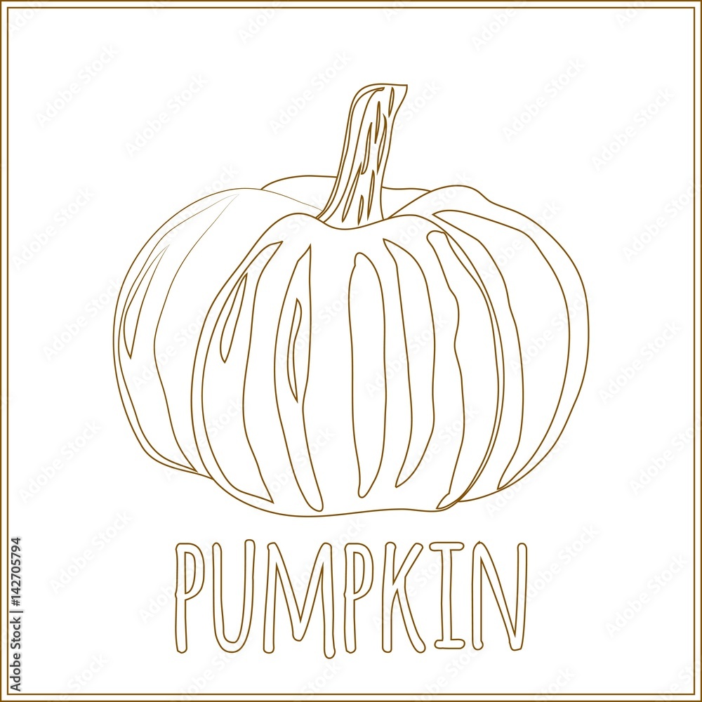 Pumpkin. Page for coloring book. Doodle, zentangle design.Vegetables