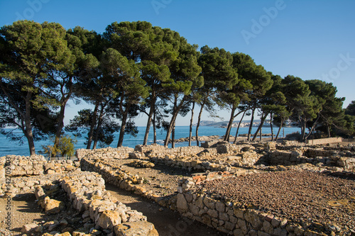 Greco roman ruins of Emporda, trees and sea photo