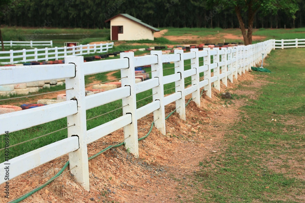 White fence on the farm White fence on the farm