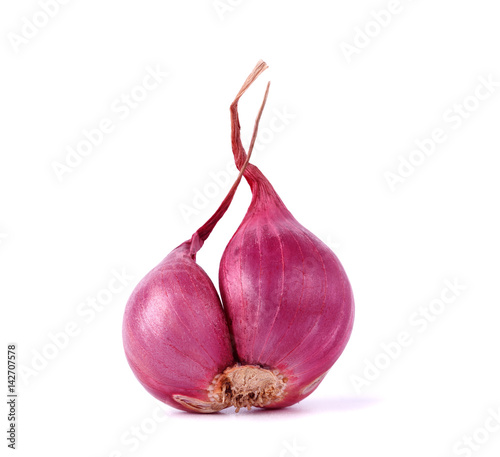 onion spice herb front view on white background