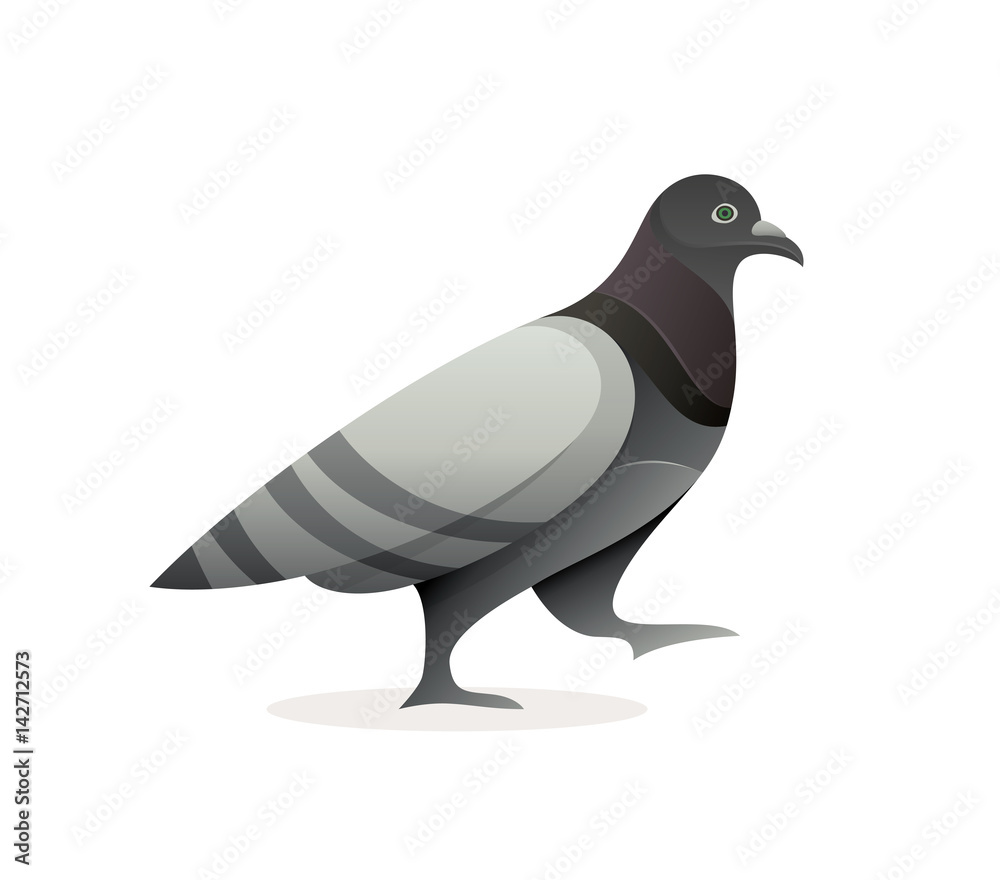 Fototapeta premium Pigeon Vector Logo