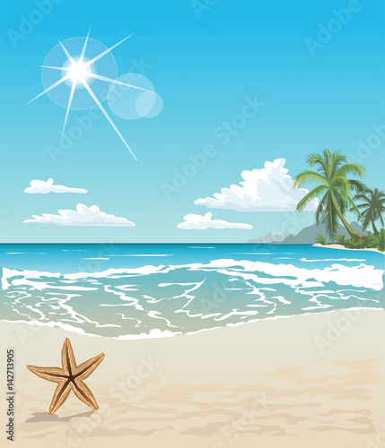 Tropical beach with a starfish on sand, sea view and sand with much copy spase