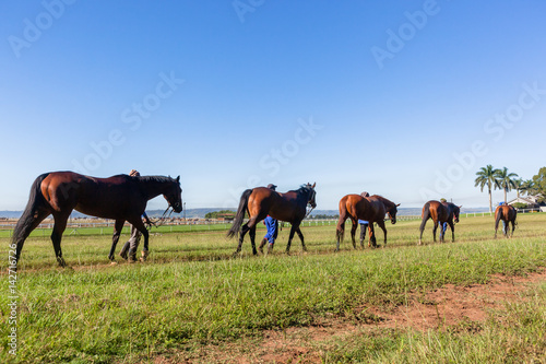 Race Horses Grooms Training Landscape © ChrisVanLennepPhoto