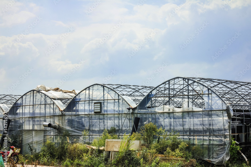 Clouds moving over green houses

