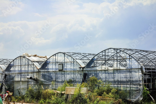Clouds moving over green houses 
