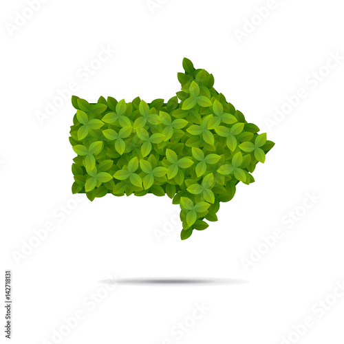 An arrow covered in leaves