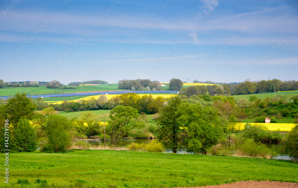 Rapeseed yellow green field in spring, abstract natural eco seasonal floral background