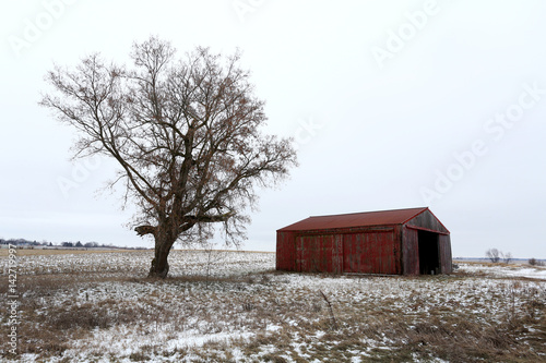 And old red barn and tree in winter in Illinois