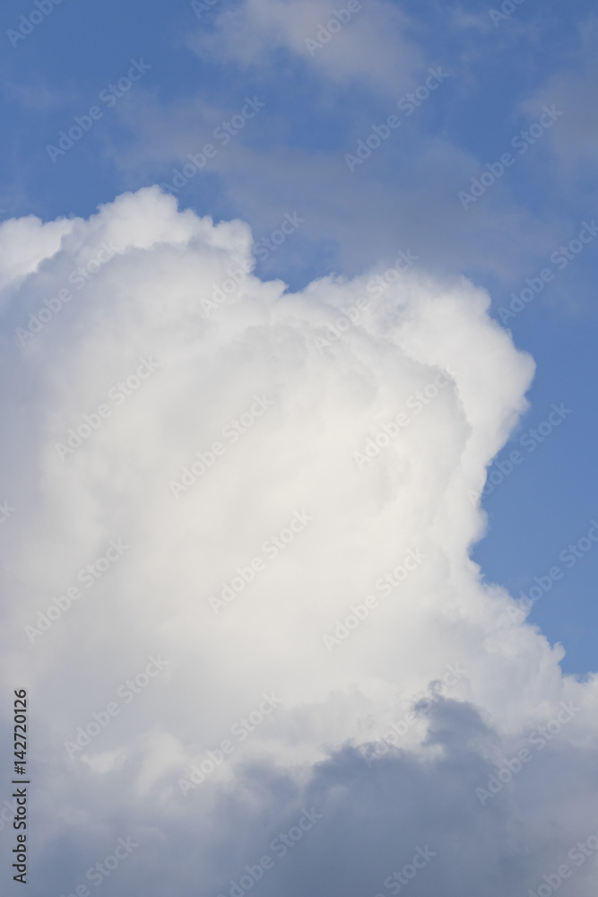 Vertical image of a white cumulus clouds. Vertical image of a white cumulus clouds.