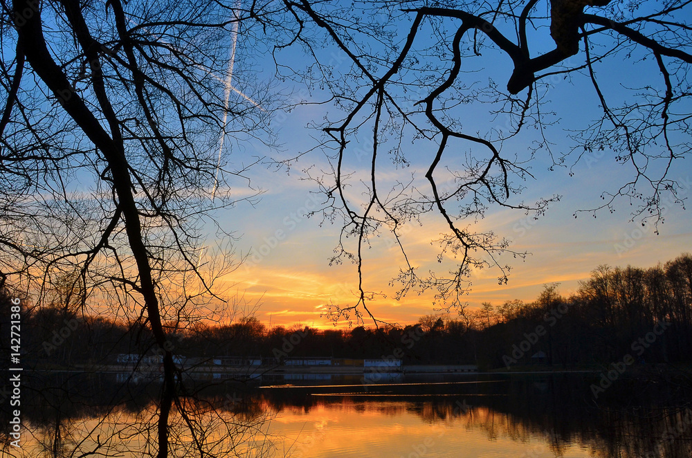 Fototapeta premium magisches. farbenspiel