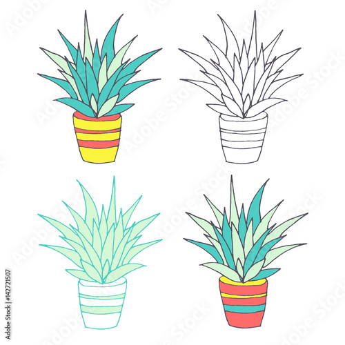 Vector blue agave illustration, hand drawn sketch set with cactus in flowerpot. Mexican style design with desert succulent, colored and outline