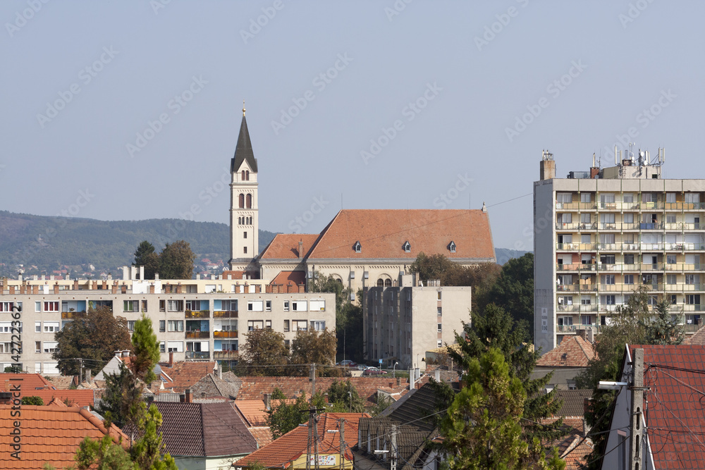 Different houses in the town of Keszthely. Hungary. Daytime view from the side of the castle Festetics.