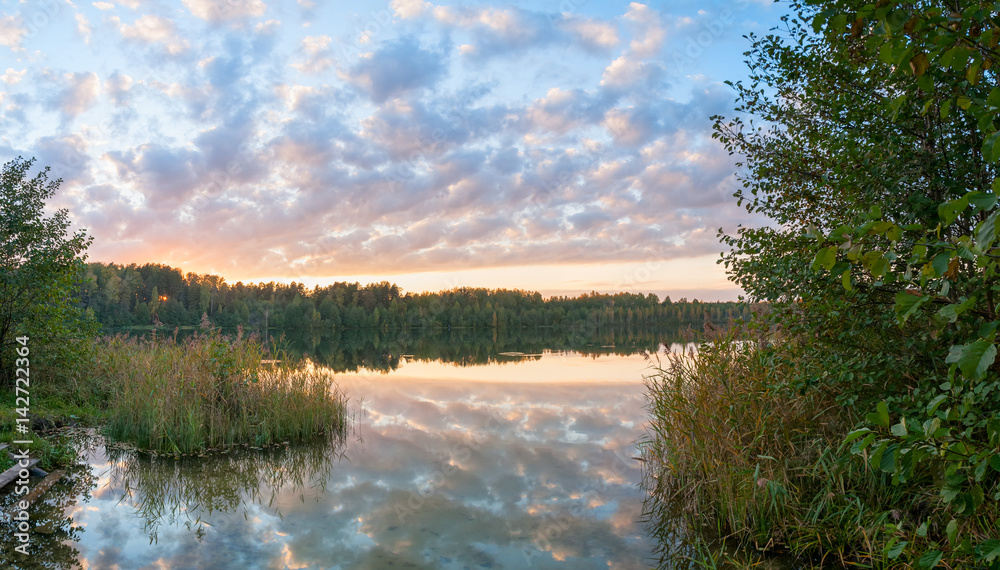 Svetloyar Lake with bush in foreground and forest along bank reflecting in calm water at sunset. Vladimirskoe village, Nizhegorodsky region, Russia.
