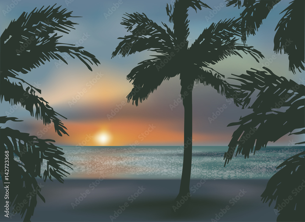 Beautiful southern sunset  sea, vector illustration
